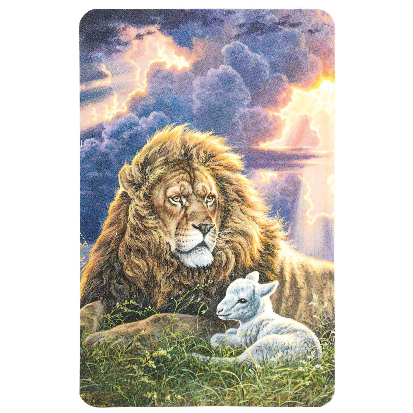 Bookmark Pockt Lion & Lamb Perfect Peace