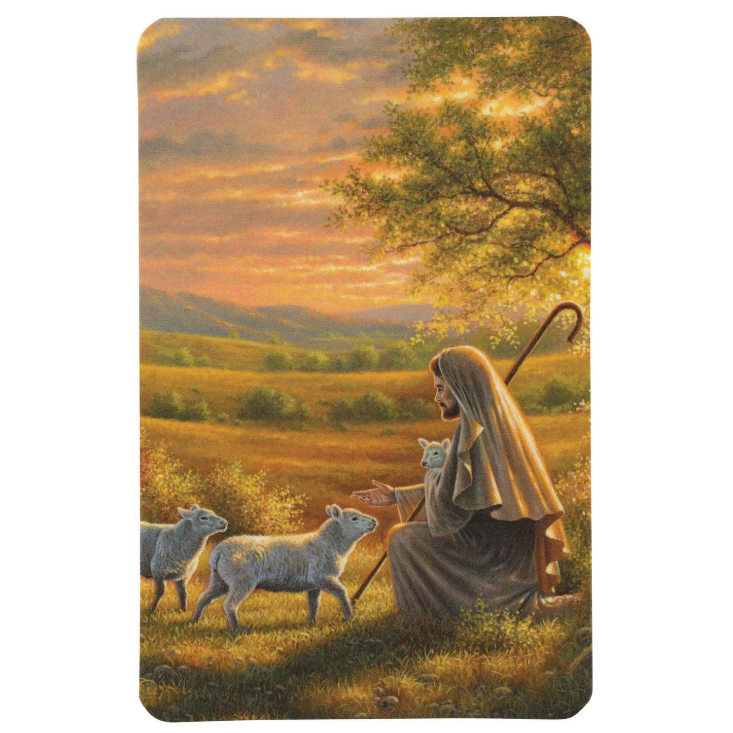 Pocketcard Jesus And The Lamb