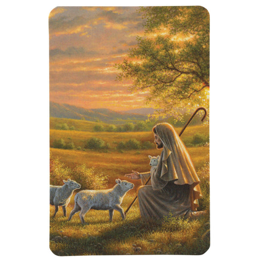 Pocketcard Jesus And The Lamb