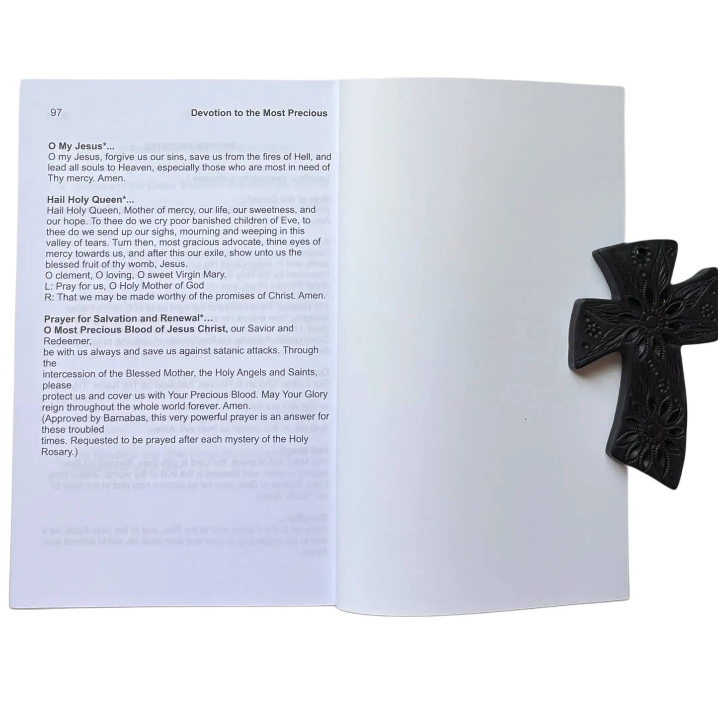 Devotion to The Most Precious Blood of Our Lord Jesus Book