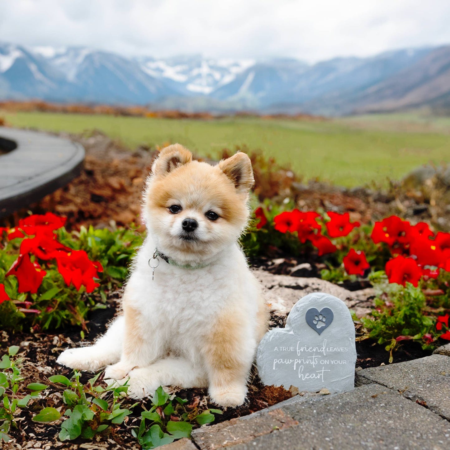 Pawprints 6" Garden Stone