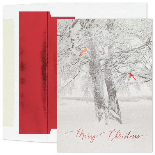 Cardinal Tree Boxed Holiday Cards