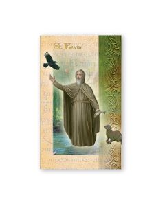 St. Kevin Biography Card