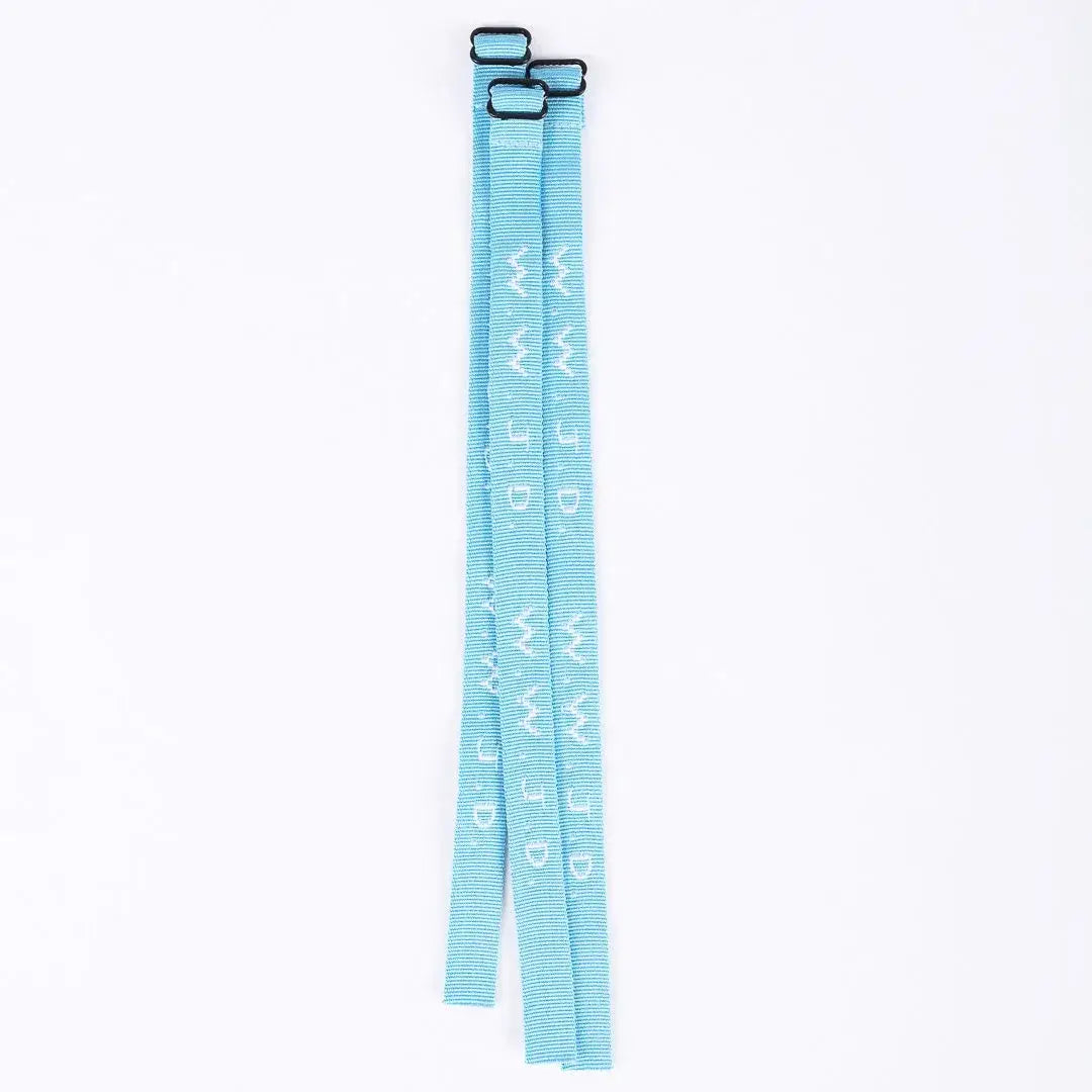 WWJD Bracelet (Light Blue)