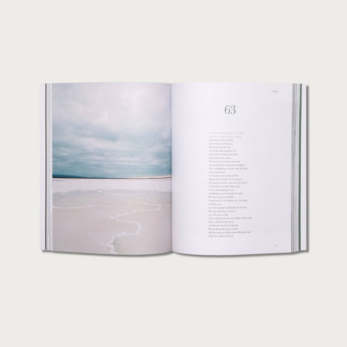 The Book of Psalms