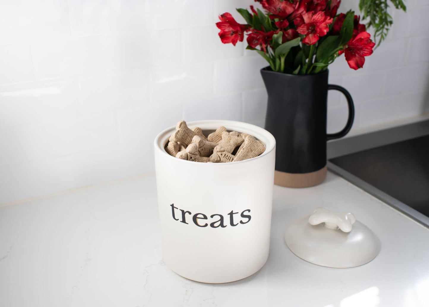 Treats White 8 x 6 Ceramic Pet Treats Canister 8 inch
