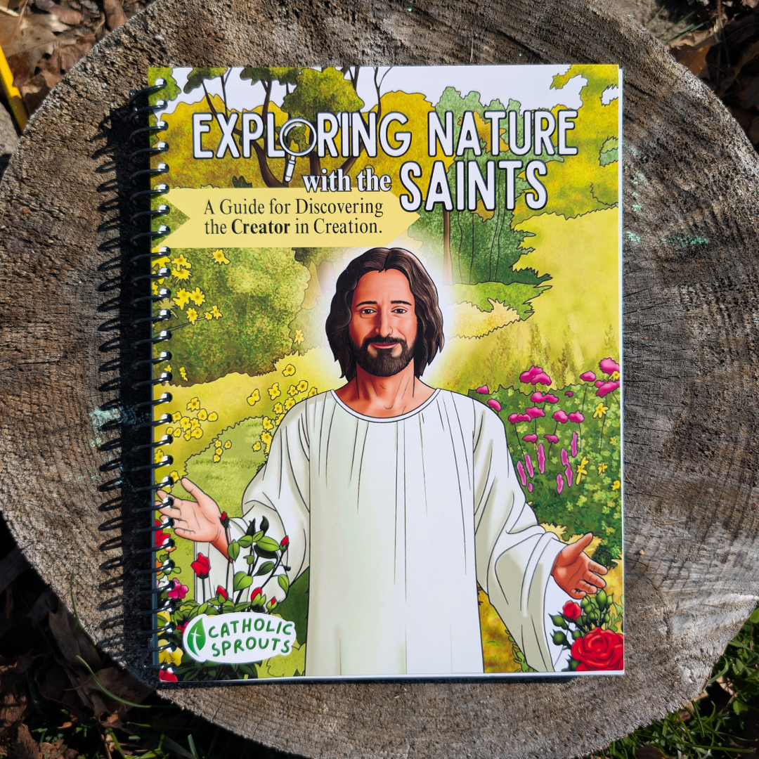 Exploring Nature with the Saints