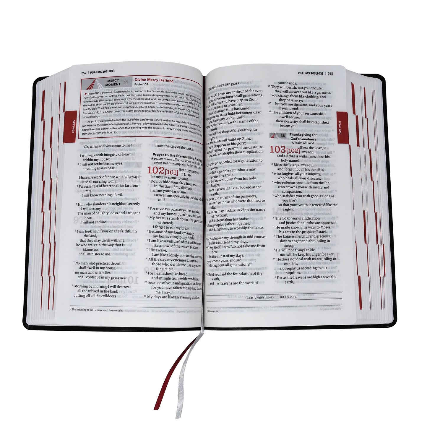 Divine Mercy RSV Catholic Bible