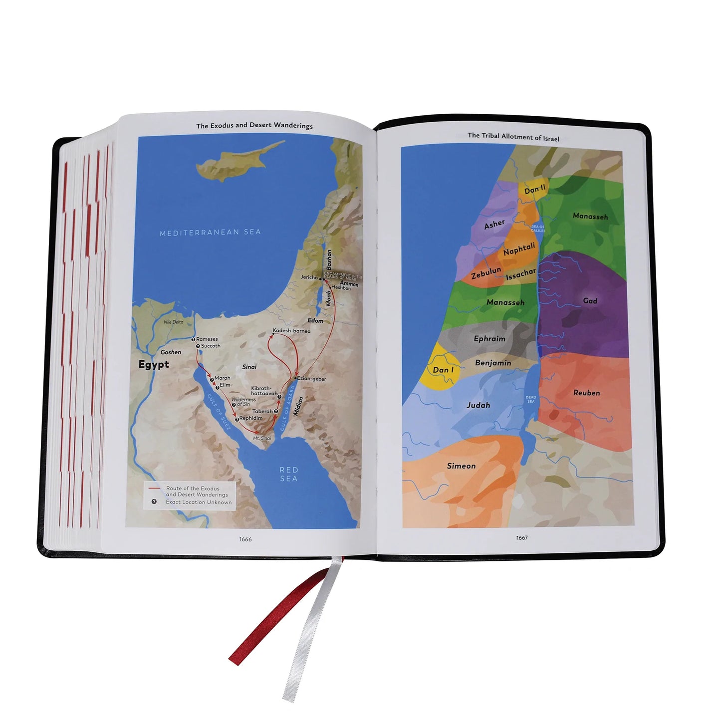 Divine Mercy RSV Catholic Bible