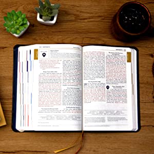 The Great Adventure Bible Leather (Second Edition)